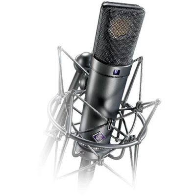 Neumann U 89 i Large Diaphragm Condenser Microphone - Nickel