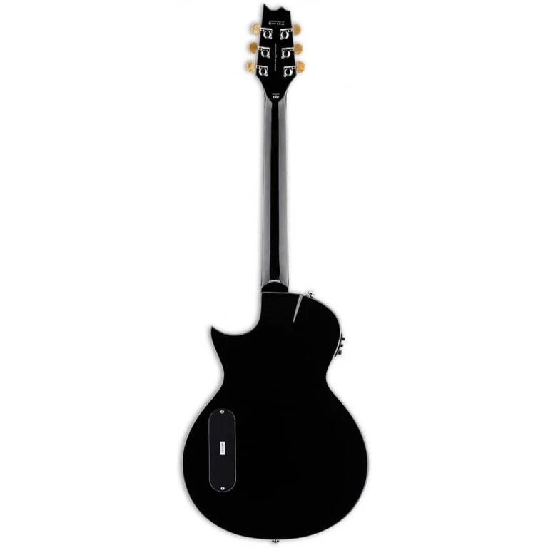 ESP LTD TL-6 Thinline Acoustic Guitar - Black Finish