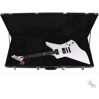 ESP Hardcase for Snakebyte James Hetfield Signature Guitar