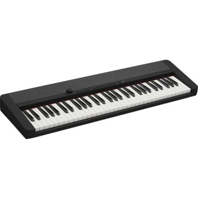 Casio CT-S1 61-Key Touch-Sensitive Portable Keyboard (Black) + AD-E95100 Power Adapter