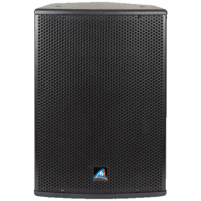 Australian Monitor XDS12 12 inch Passive Speaker 300W, Black