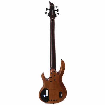 ESP LTD B-1005 Series 5-String Bass Electric Guitar with Bocote Top, Natural Satin Finish