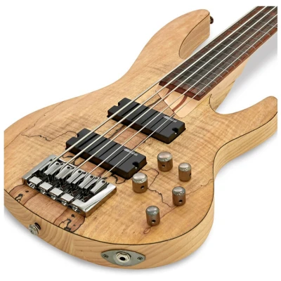 ESP LTD B205 Series 5 String Fretless Bass Electric Guitar with Spalted Maple Top Natural Satin Finish