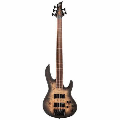 ESP LTD D Series 5-String Bass Electric Guitar, Burled Poplar Top, Black Natural Burst Satin Finish