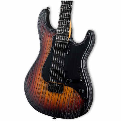 ESP LTD SN1000HT Series Electric Guitar with Macassar Ebony Fingerboard Fire Blast Finish