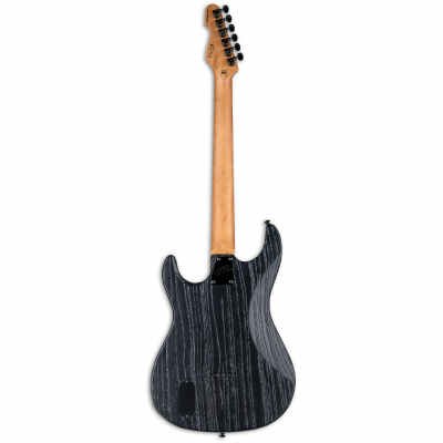 ESP LTD SN1000HT Series Electric Guitar with Macassar Ebony Fingerboard Fire Blast Finish